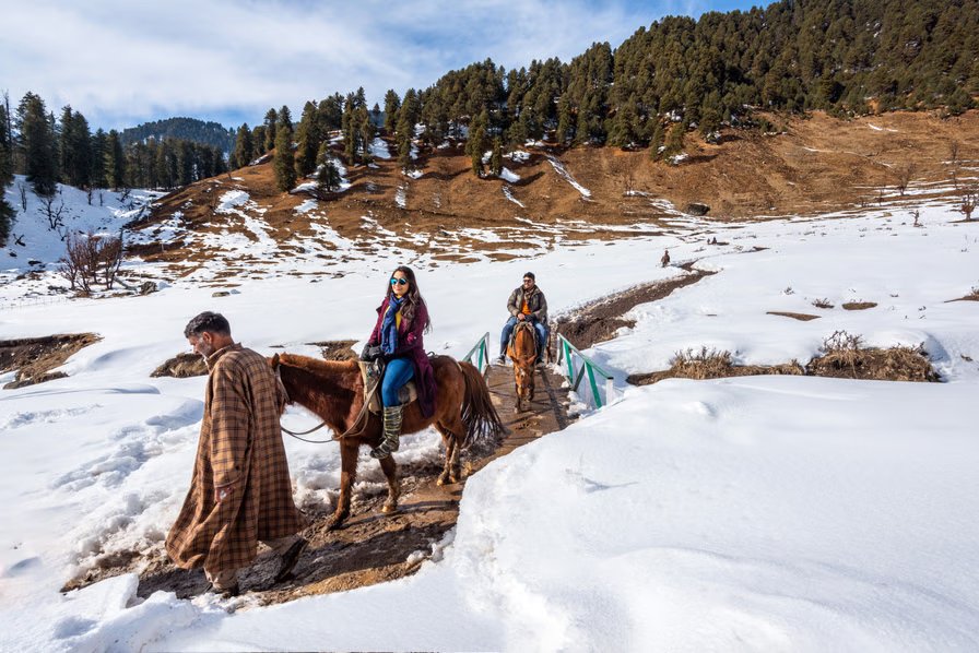 Valley of Dreams | Kashmir Honeymoon Special